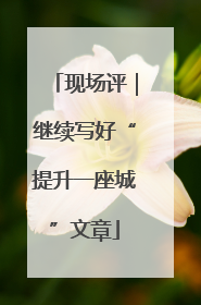 现场评｜继续写好“提升一座城”文章