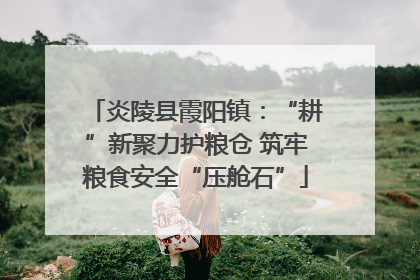 炎陵县霞阳镇：“耕”新聚力护粮仓 筑牢粮食安全“压舱石”