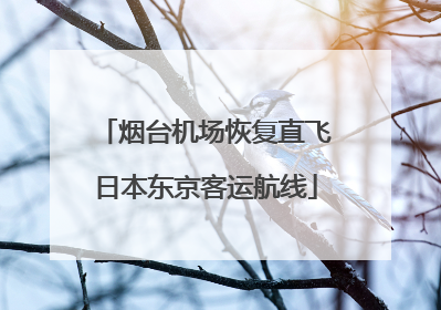 烟台机场恢复直飞日本东京客运航线