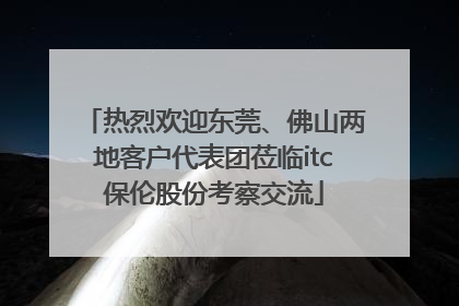 热烈欢迎东莞、佛山两地客户代表团莅临itc保伦股份考察交流