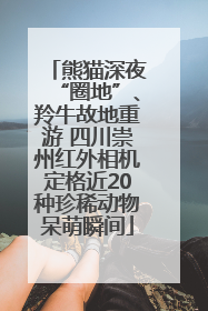 熊猫深夜“圈地”、羚牛故地重游 四川崇州红外相机定格近20种珍稀动物呆萌瞬间