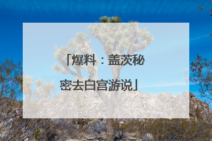 爆料：盖茨秘密去白宫游说