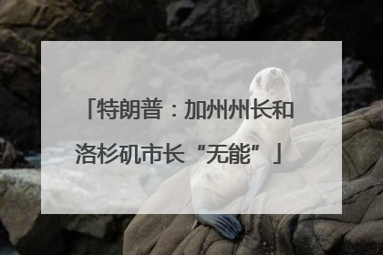 特朗普：加州州长和洛杉矶市长“无能”