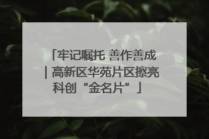 牢记嘱托 善作善成｜高新区华苑片区擦亮科创“金名片”