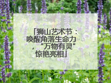 狮山艺术节：唤醒角落生命力，“万物有灵”惊艳亮相