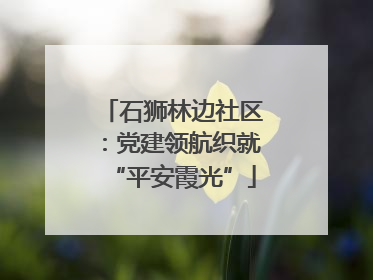 石狮林边社区：党建领航织就“平安霞光”