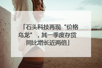 石头科技再现“价格乌龙”，其一季度存货同比增长近两倍