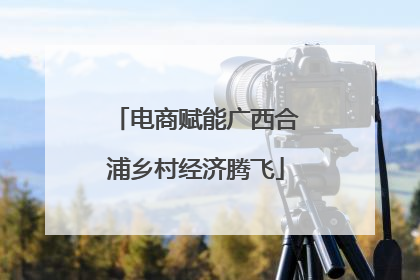 电商赋能广西合浦乡村经济腾飞