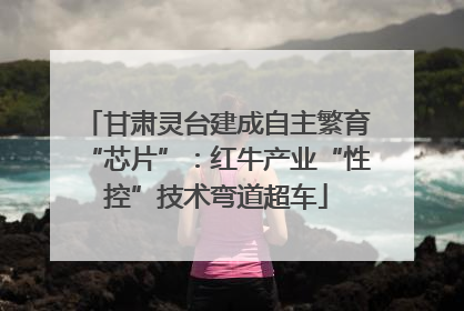 甘肃灵台建成自主繁育“芯片”：红牛产业“性控”技术弯道超车