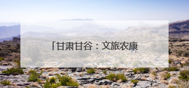 甘肃甘谷：文旅农康融合解锁乡村“新玩法”绘就振兴新图景