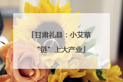 甘肃礼县：小艾草“链”上大产业