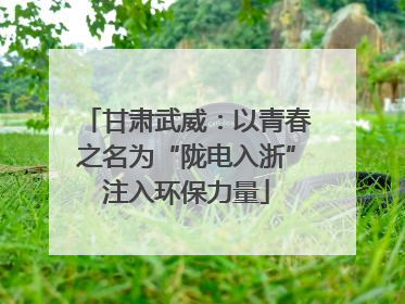 甘肃武威：以青春之名为“陇电入浙”注入环保力量
