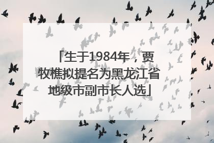 生于1984年，贾牧樵拟提名为黑龙江省地级市副市长人选