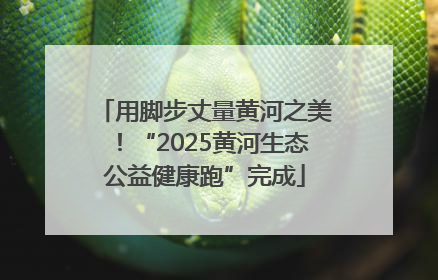 用脚步丈量黄河之美！“2025黄河生态公益健康跑”完成