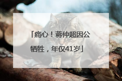 痛心！蒋仲超因公牺牲，年仅41岁