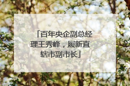 百年央企副总经理王秀峰，履新直辖市副市长