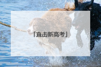 直击新高考