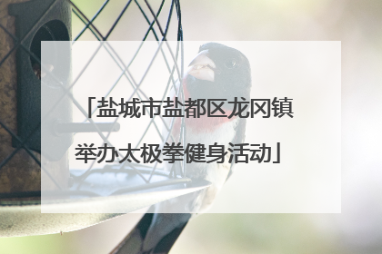 盐城市盐都区龙冈镇举办太极拳健身活动