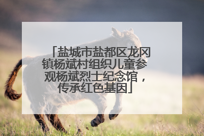 盐城市盐都区龙冈镇杨斌村组织儿童参观杨斌烈士纪念馆，传承红色基因