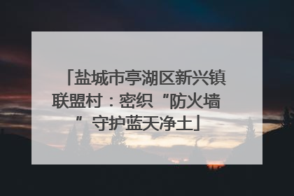 盐城市亭湖区新兴镇联盟村：密织“防火墙”守护蓝天净土