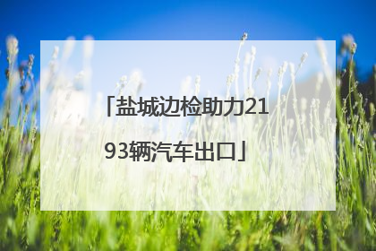 盐城边检助力2193辆汽车出口
