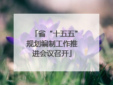 省“十五五”规划编制工作推进会议召开