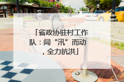 省政协驻村工作队：闻“汛”而动，全力抗洪