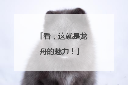 看，这就是龙舟的魅力！