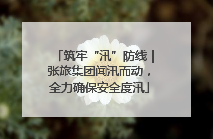 筑牢“汛”防线｜张旅集团闻汛而动，全力确保安全度汛