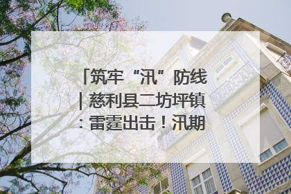 筑牢“汛”防线｜慈利县二坊坪镇：雷霆出击！汛期捕鱼被紧急叫停