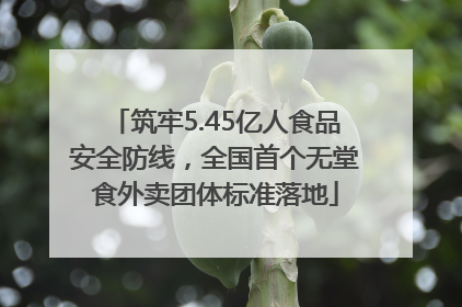 筑牢5.45亿人食品安全防线，全国首个无堂食外卖团体标准落地