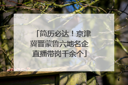 简历必达！京津冀晋蒙鲁六地名企直播带岗千余个