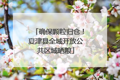 确保颗粒归仓！夏津县全域开放公共区域晒粮