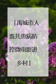 禹城市人畜共患病防控微电影进乡村