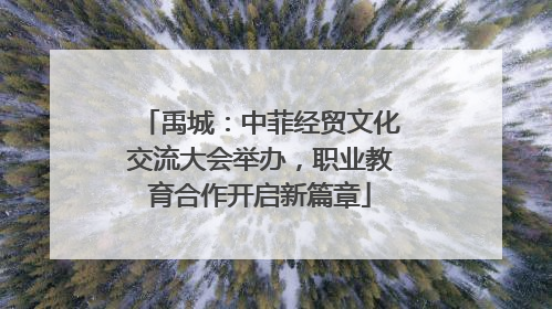 禹城：中菲经贸文化交流大会举办，职业教育合作开启新篇章