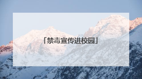 禁毒宣传进校园