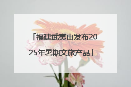 福建武夷山发布2025年暑期文旅产品