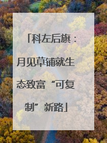 科左后旗：月见草铺就生态致富“可复制”新路