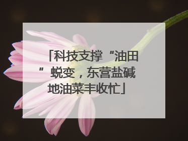 科技支撑“油田”蜕变，东营盐碱地油菜丰收忙