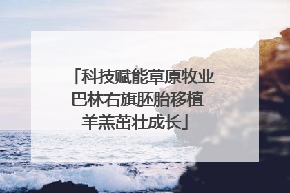 科技赋能草原牧业 巴林右旗胚胎移植羊羔茁壮成长