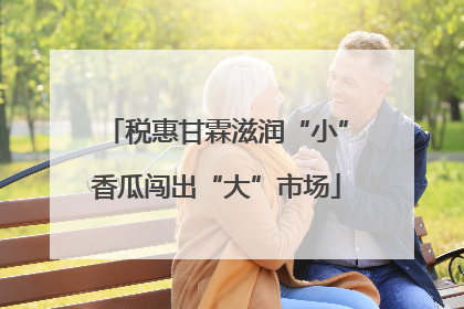 税惠甘霖滋润“小”香瓜闯出“大”市场