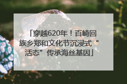 穿越620年！百崎回族乡郑和文化节沉浸式“活态”传承海丝基因