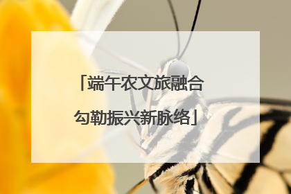 端午农文旅融合 勾勒振兴新脉络