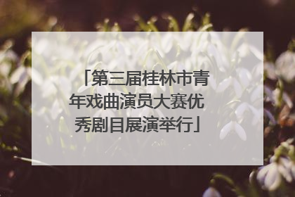 第三届桂林市青年戏曲演员大赛优秀剧目展演举行