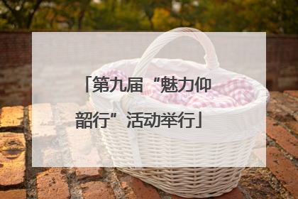 第九届“魅力仰韶行”活动举行
