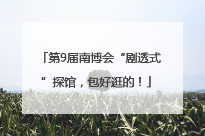 第9届南博会“剧透式”探馆，包好逛的！