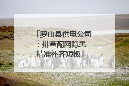 罗山县供电公司：排查配网隐患 精准补齐短板