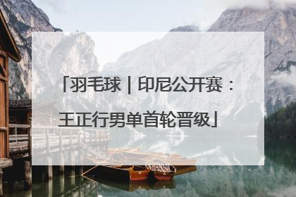 羽毛球｜印尼公开赛：王正行男单首轮晋级