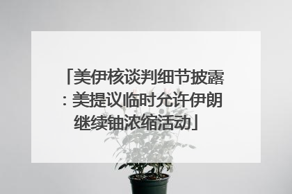 美伊核谈判细节披露：美提议临时允许伊朗继续铀浓缩活动