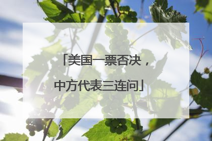 美国一票否决，中方代表三连问